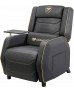 COUGAR RANGER PRO ROYAL Adjustable Gaming Sofa with Detachable Swivel Table, Breathable PVC Leather, Side Storage Pocket, USB Type-C Charging Port, Headrest & Lumbar Pillow, Black/Gold | 3MRGPGLB.0001 COUGAR RANGER PRO ROYAL Adjustable Gaming Sofa with Detachable Swivel Table, Breathable PVC Leather, Side Storage Pocket, USB Type-C Charging Port, Headrest & Lumbar Pillow, Black/Gold | 3MRGPGLB.0001