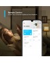 TP-LINK TAPO MINI SMART WI-FI SOCKET - TAPO P100(2-PACK) TP-LINK TAPO MINI SMART WI-FI SOCKET - TAPO P100(2-PACK)