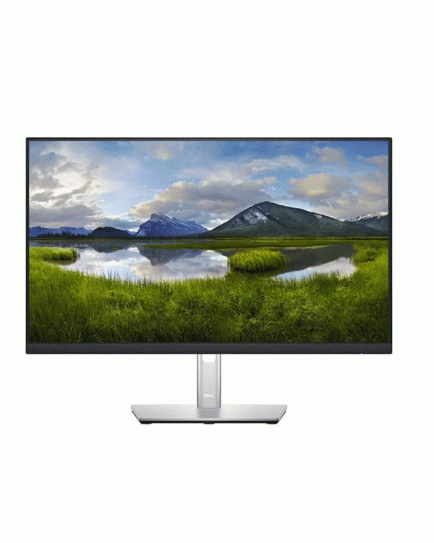 DELL 24" P2422H HDMI/DP/VGA Monitor