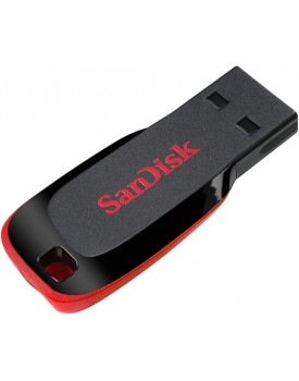 SANDISK FD SDCZ50-032G-35 SANDISK FD SDCZ50-032G-35
