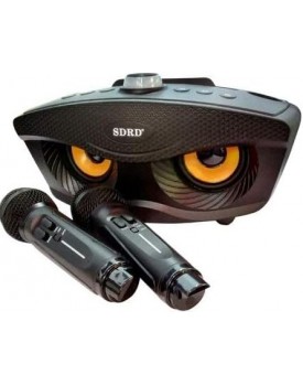 sdrd sd-306 karoke speaker