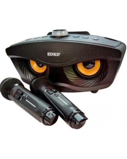 sdrd sd-306 karoke speaker