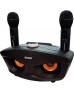 sdrd sd-306 karoke speaker